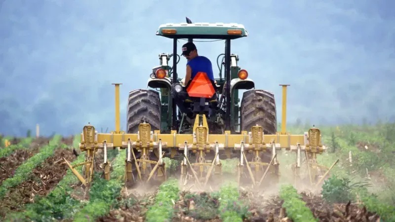 Tarım ve Orman Bakanlığı, 2025 yılı için bitkisel üretim desteklerini önemli ölçüde artırdı. Yapılan güncellemelerle birlikte, destek miktarlarında dikkate değer bir artış sağlandı.