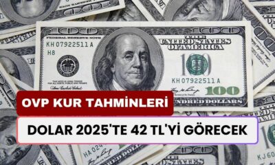 Dolar 2025'te 42 TL'yi Görecek! OVP'den Bomba Kur Tahminleri Açıklandı!