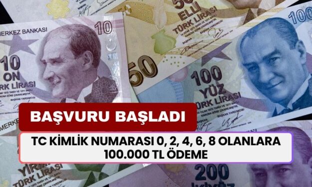 TC Kimlik Numarası 0, 2, 4, 6, 8 Olanlara 100.000 TL Ödeme Yapılacak! Resmi Duyuru Geldi