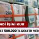 Devlet Desteği! Kendi İşinin Patronu Olmak İsteyenlere 500.000 TL Trink Diye Veriliyor