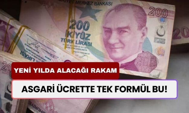 Asgari Ücrette Tek Formül Bu! Milyonlarca Çalışanın Yeni Yılda Alacağı Rakam Ortaya Çıktı