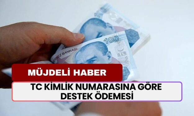 TC Kimlik Numarasına Göre Destek Ödemeleri: 6 ve 8 ile Bitenlere Müjde!