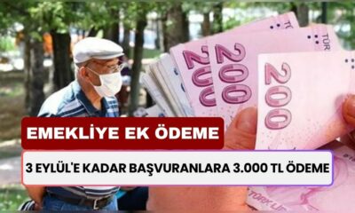 3 Eylül'e Kadar Başvurun! Emekliye Ekstra 3000 TL Ek Ödeme!