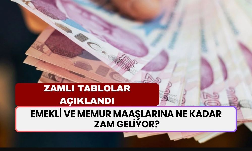 2025'te Emekli ve Memur Maaşlarına Ne Kadar Zam Geliyor? Kuruşu Kuruşuna Hesaplandı