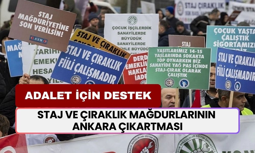 Staj ve Çıraklık Mağdurları Ankara'da Seslerini Yükseltti! "Çalışmaya Devam Edeceğiz"