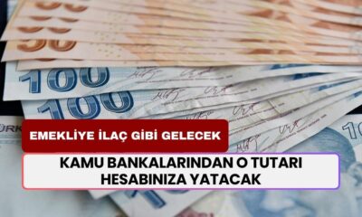 12.500 TL ve Üstü Maaş Alan Emekliye İlaç Gibi Gelecek! Kamu Bankalarından O Tutar Hesabınıza Yatacak