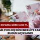 16 milyon 300 bin emekliye karar bugün açıklandı! Emekliye tahsis no'suna göre 8.000 TL nakit yatıyor