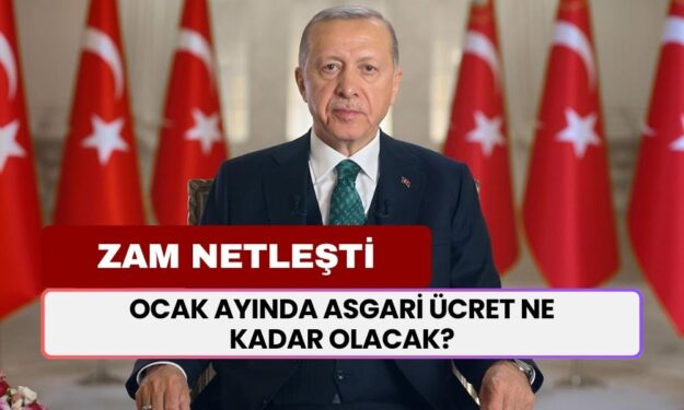 Ocak Ayında Asgari Ücret Ne Kadar Olacak? Temmuz'da Zam Gelmemişti! Ocak Zam Senaryoları Netleşti