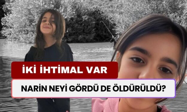 Narin ne gördü de öldürüldü? Abdulkadir Selvi iki ihtimali yazdı