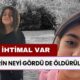 Narin ne gördü de öldürüldü? Abdulkadir Selvi iki ihtimali yazdı