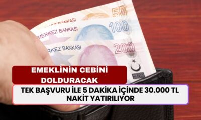 Emeklinin cebini parayla dolduracak! Tek başvuru ile 5 dakika içinde 30.000 TL nakit yatırılıyor