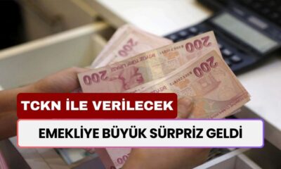 EMEKLİLERE BÜYÜK SÜRPRİZ! 30.000 TL Destek Ödemesi Devletten TCKN ile Verilecek