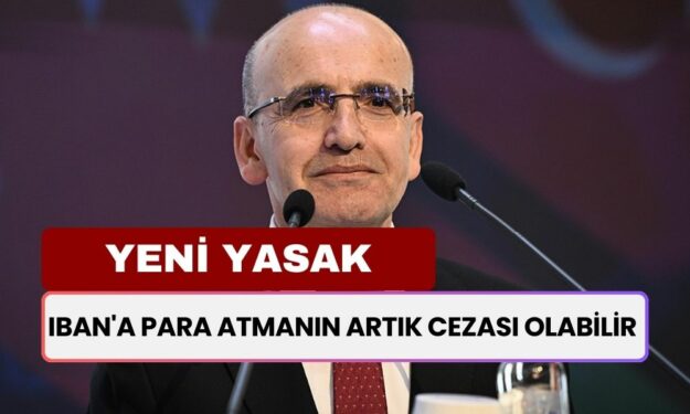 Maliye Bakanlığı Denetimleri Arttırdı! IBAN'a Para Atmanın Artık Cezası Olabilir