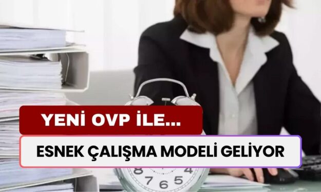 Yeni OVP İle 2025’te Esnek Çalışma Modeli Geliyor! İşte Detaylar