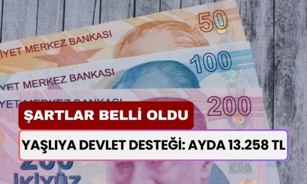 Yaşlıya Devlet Desteği: Ayda 13.258 TL! Şartlar Neler? Nasıl Başvurulur?