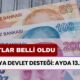 Yaşlıya Devlet Desteği: Ayda 13.258 TL! Şartlar Neler? Nasıl Başvurulur?