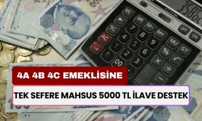 4A 4B 4C Emeklisine Tek Sefere Mahsus 5000 TL İlave Destek! Jest Yapıldı