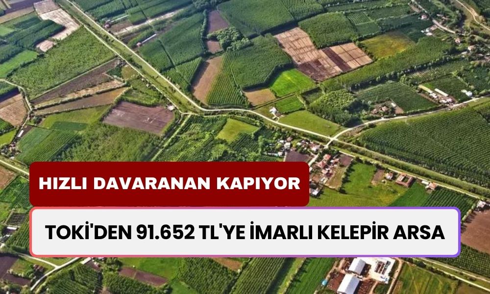 TOKİ'den 91.652 TL'ye İmarlı Kelepir Arsa! Hızlı Davranan Ucuza Arsayı Kapıyor