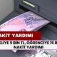 Emekliye 5 Bin TL, Öğrenciye 15 Bin TL Nakit Yardımı Başladı