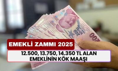 12.500, 13.750, 14.350 TL Alan Emeklinin Kök Maaş Formülleri Netleşti! En Düşük Emekli Maaşı Bu Rakam...