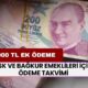 SSK ve BAĞKUR Emeklileri İçin ÖDEME TAKVİMİ Yayınlandı! 18.000 TL Ek Ödeme O Tarihte Yatırılacak