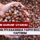 Fındık Piyasasında Caydırıcı Cezalar! Rekabet Kurumu Başkanı Birol Küle'den Hakim Durumda Olanlar Takip Altında