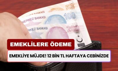 Emekliler Çok Şanslı! Devlet Emekliye, 12.000 TL Ek Ödemeyı Bu Hafta Yatıracak