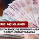 15 Milyon Emekliye Saat 10.30'da Devlet Destekli Ödeme Açıklandı! Bu Ay İçinde 11.030 TL Ödeme Yatacak