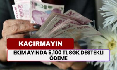 Resmi Gazete Kararı: Emeklilere 20.000 TL Destek Onaylandı