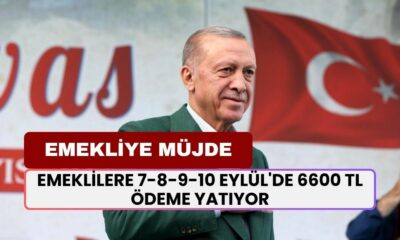 Cumhurbaşkanı'ndan Dev Müjde: Emeklilere 7-8-9-10 Eylül'de 6600 TL Ödeme Hesaplara Yatıyor