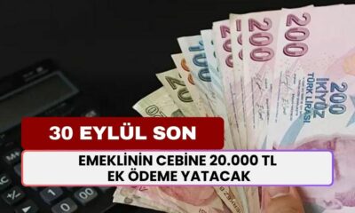 Emekliye Ek Ödeme Müjdesi: 30 Eylül'e Kadar Başvur 20.000 TL'yi Cebine Yatsın