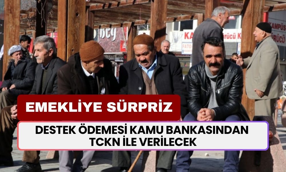 EMEKLİLERE BÜYÜK SÜRPRİZ! 30.000 TL Destek Ödemesi Kamu Bankasından TCKN ile Verilecek