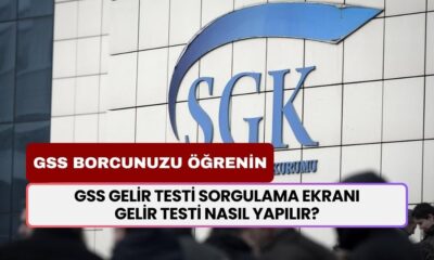 Gelir Testi Nedir, Nasıl Yapılır? 60/1 (C-1) Gelir Testine Tabi Olanlar Ne Demek? GSS Gelir Testi Sorgulama Ekranı