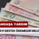 Ekim Ayı Destek Ödemeleri Belli Oldu: Vatandaşa 24.640 TL Yardım Geliyor