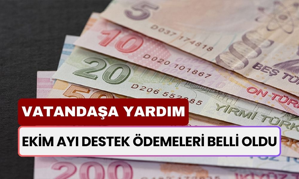 Ekim Ayı Destek Ödemeleri Belli Oldu: Vatandaşa 24.640 TL Yardım Geliyor