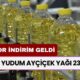 Ayçiçek Yağında Rekor İndirim! 4 LT Yudum Ayçiçek Yağı 239 TL'ye Satışta