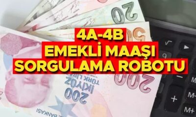 EMEKLİ MAAŞI ZAM FARKI SGK BAĞKUR HESAPLAMA Ocak 2025: SSK (4A), Bağkur (4B) emekli maaşı ne kadar, aylık farkı neden oluyor? 2025 emekli maaşı düşecek mi, en düşük emekli maaşı kaç TL olacak?