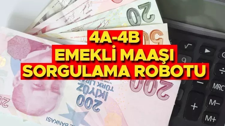 EMEKLİ MAAŞI ZAM FARKI SGK BAĞKUR HESAPLAMA Ocak 2025: SSK (4A), Bağkur (4B) emekli maaşı ne kadar, aylık farkı neden oluyor? 2025 emekli maaşı düşecek mi, en düşük emekli maaşı kaç TL olacak?