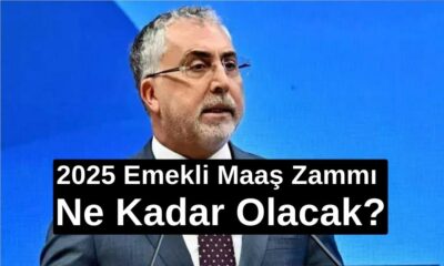 2025 Emekli Maaş Zammı Ne Kadar Olacak?