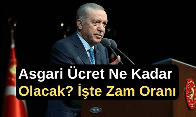 Asgari Ücret Ne Kadar Olacak?