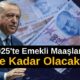 2025'te Emekli Maaşları Ne Kadar Olur?