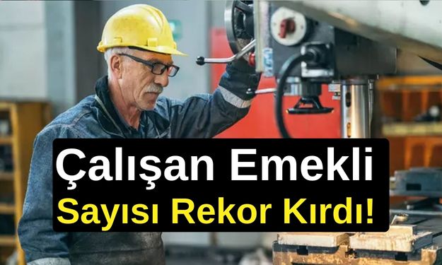 Çalışan Emekli Sayısı Rekor Kırdı!