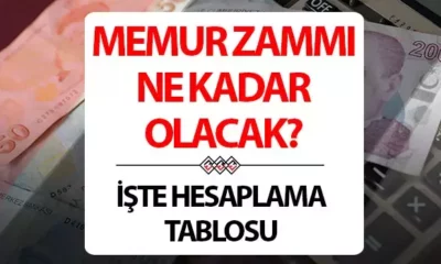 Memur zammı ve maaş hesaplama tablosu, 2025 Ocak ayına yaklaşırken yeniden gündeme geldi. Milyonlarca memur, yeni yıl için alacakları zam oranlarına odaklanmışken, 2025 Ocak'ta en düşük memur maaşının ne kadar olacağı da merak konusu oldu. Öğretmen, polis, doktor, hemşire, avukat, mühendis ve vaiz gibi birçok meslek grubunun maaşları, Ocak zammıyla birlikte güncellenerek değişecek. Peki, 2025 yılında en düşük memur zammı ne kadar, kaç TL olacak, yüzde kaç zam yapılacak?