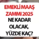 2025 Ocak ayı emekli maaş zammı son dakika haberleri yakından takip ediliyor. TÜİK, Eylül ayı enflasyon rakamlarını 3 Eylül Perşembe günü duyurdu. Enflasyon rakamları memur, memur emeklisi, SGK, Bağ-Kur emeklilerinin enflasyon farkı için belirleyici oluyor. Bu bağlamda 2025 Ocak ayı emekli maaş zammı tablosu gündeme geldi. SSK (4A), BAĞKUR (4B) emekli maaşı kişinin prim gün sayısı, sigorta süresi, statüsü gibi etkenlere göre farklılık gösteriyor. Peki, yeni yıl SSK, Bağkur en düşük emekli maaşı ne kadar, kaç TL olacak? 2025 Ocak ayında 4A,4B,4C aylıkları yüzde kaç zam alacak? İşte, emekli maaşı tablosu tahmini rakamlar...