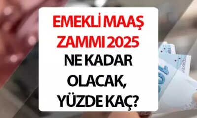 YENİ YIL EMEKLİ MAAŞ ZAMMI OCAK 2025 HESAPLAMA TABLOSU