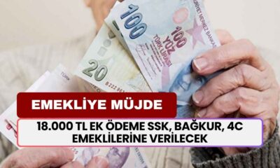 Emekliye Talih Kuşu Kondu! 18.000 TL Ek Ödeme SSK, BAĞKUR, 4C Emeklilerine Verilecek