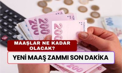 DEV İNDİRİM! Tuvalet Kağıdı ve Ayçiçek Yağında Çifte İndirim Başladı