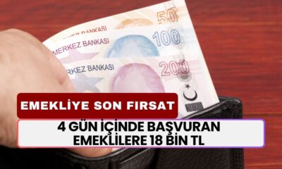 4 Gün İçinde Başvuran EMEKLİLERE 18 Bin TL İlave Ödeme! Başvurmayı Unutmayın