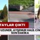 İkbal Uzuner, Ayşenur Halil Cinayeti SON DAKİKA! Cinayetin Sebebi Ne?