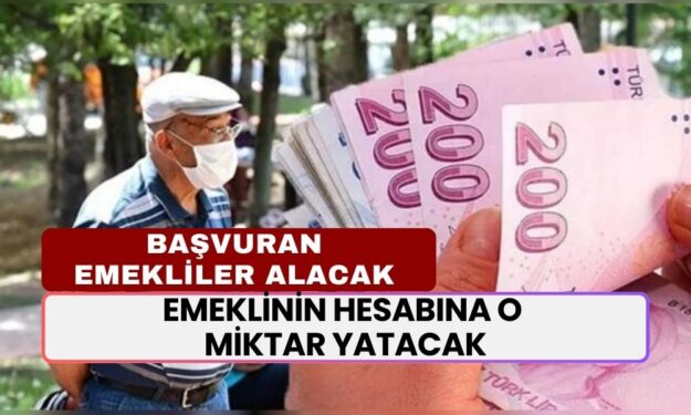 Emeklinin Hesabına 20.000 TL Yatırılacak! 31 Ekim'e Kadar O Bankaya Başvuran Emekliler Alacak